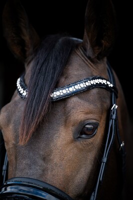 HB Showtime Bridle Stockholm Special A-pony