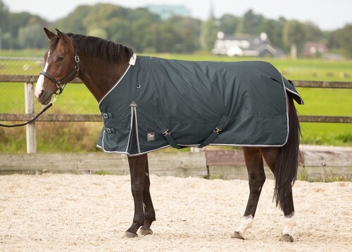 Harry's Horse Turnout rug Thor 300