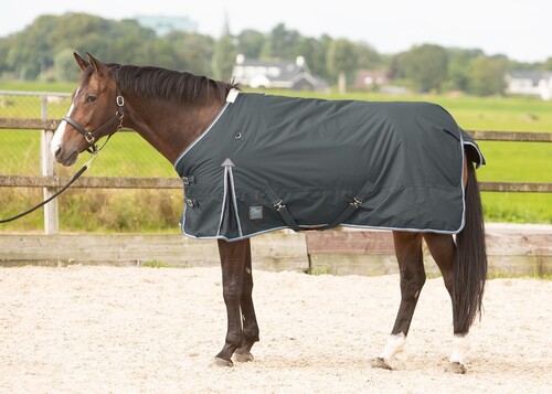 Harry's Horse Turnout rug Thor 200