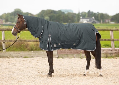 Harry's Horse Turnout rug Thor with neck 200gr