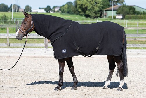Harry's Horse Fleece rug with roll-up neck
