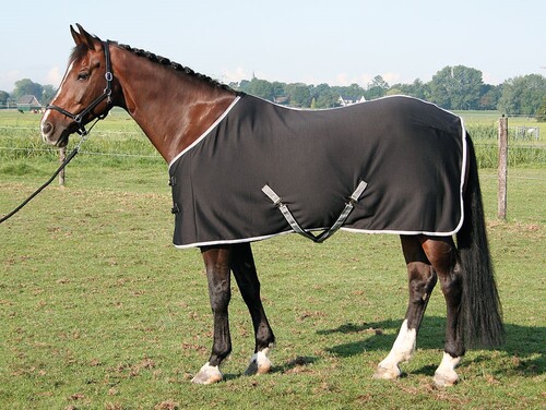 Harry's Horse Jersey cooler rug