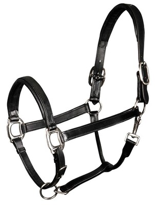 Harry's Horse Head collar leather, padded